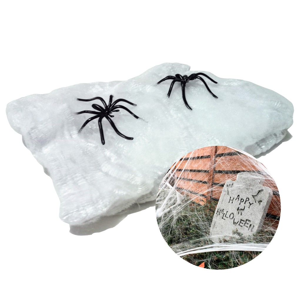 Teia De Aranha Halloween