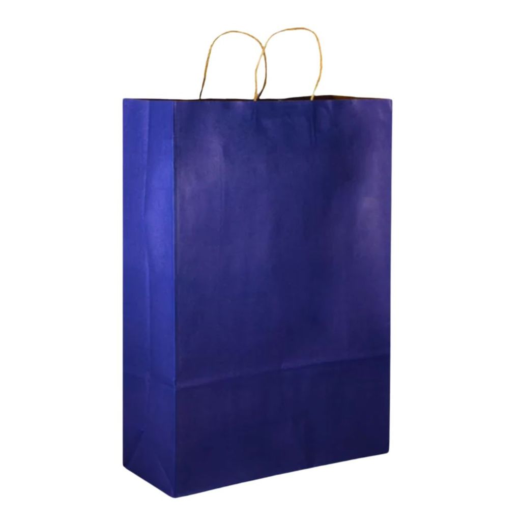 Sacola Kraft Papel Colorida KIT 10 Unidades Tamanho P Bolsas Menor P